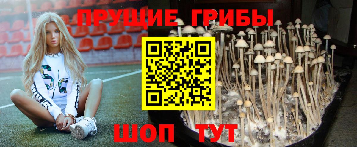 Галлюциногенные грибы GOLDEN TEACHER Всеволожск