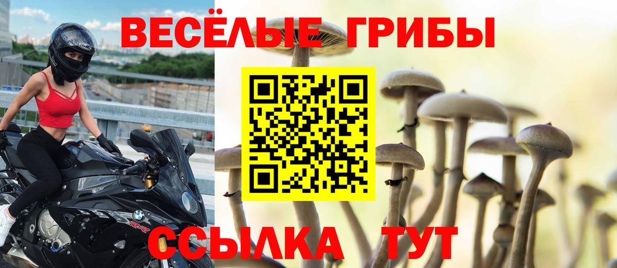 где купить наркоту  Вход с VPN  Всеволожск  Галлюциногенные грибы MAGIC MUSHROOMS  Галлюциногенные грибы мухоморы 